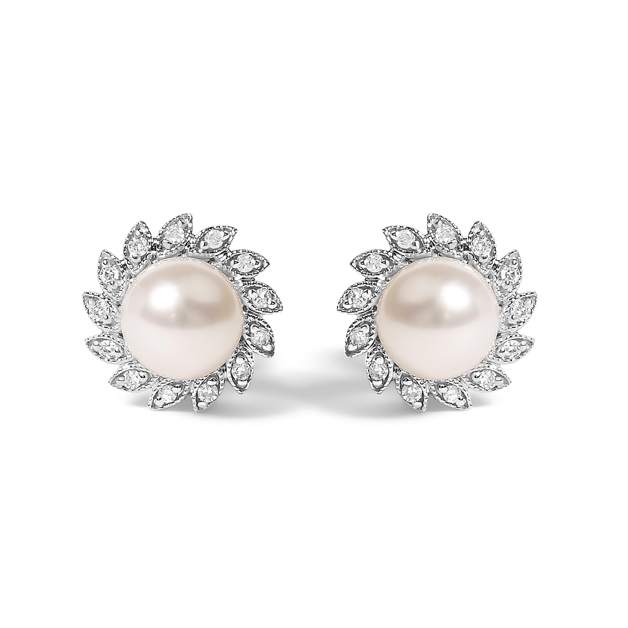 Alba Halo Stud Earrings