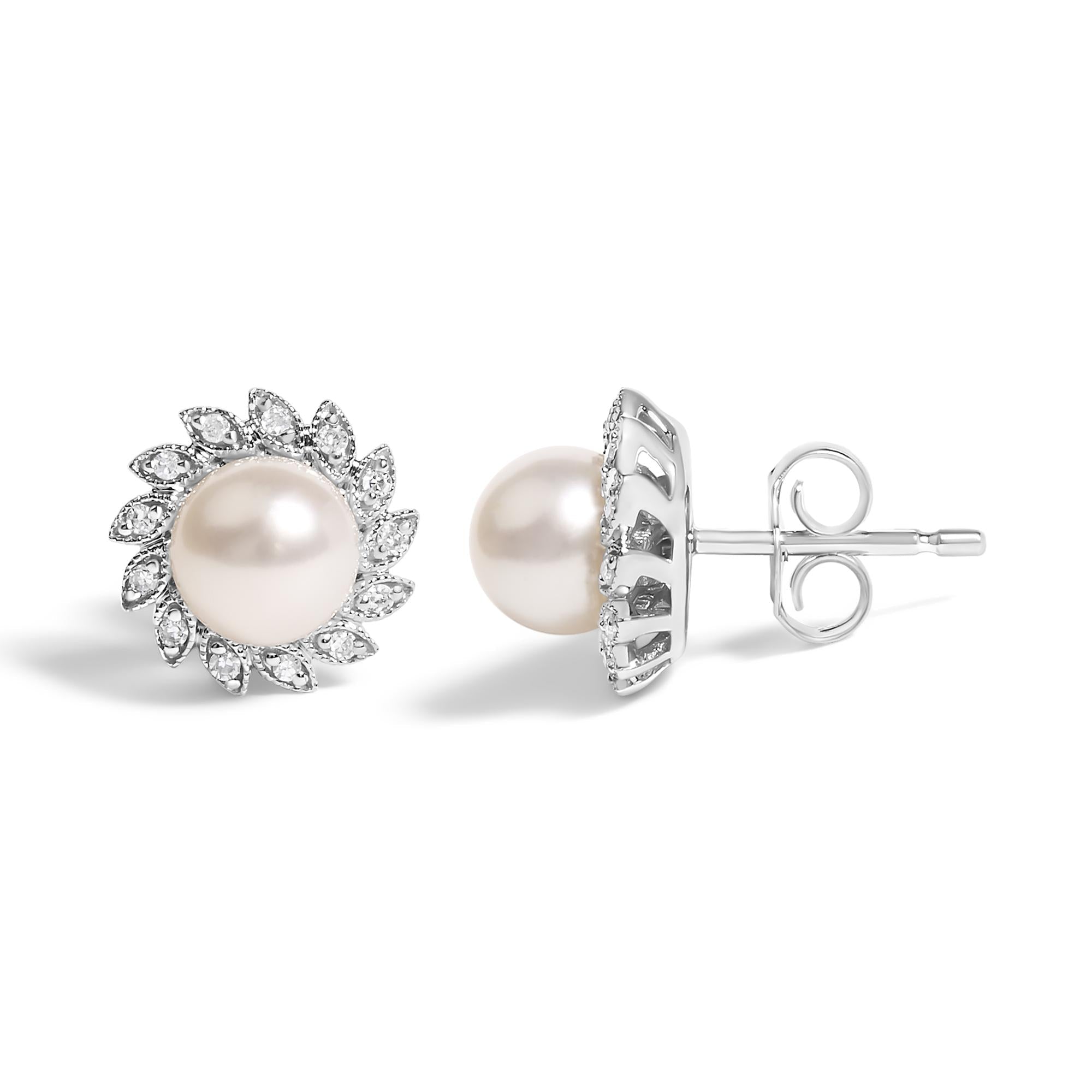 Alba Halo Stud Earrings